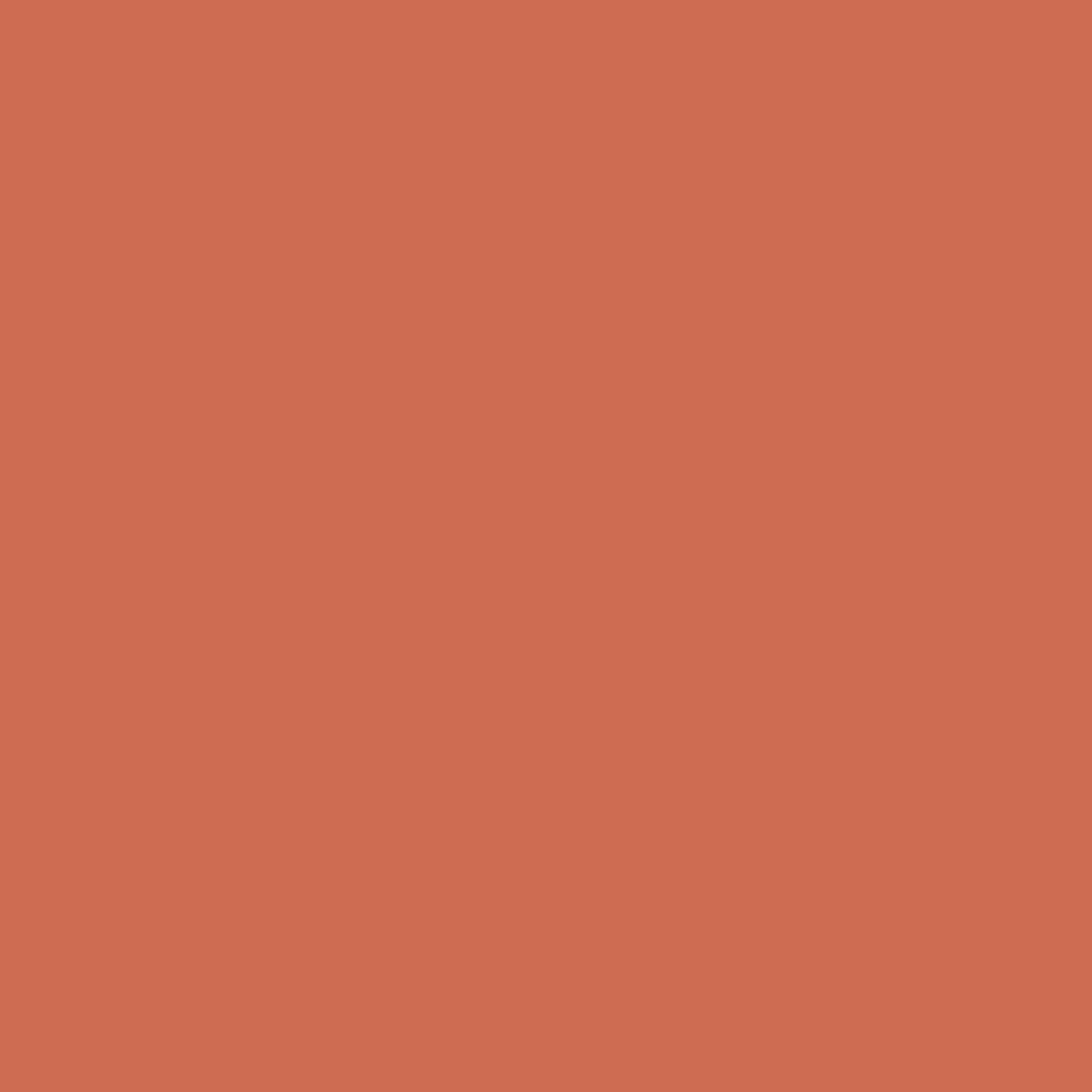 Rich Coral 028-Colour Company