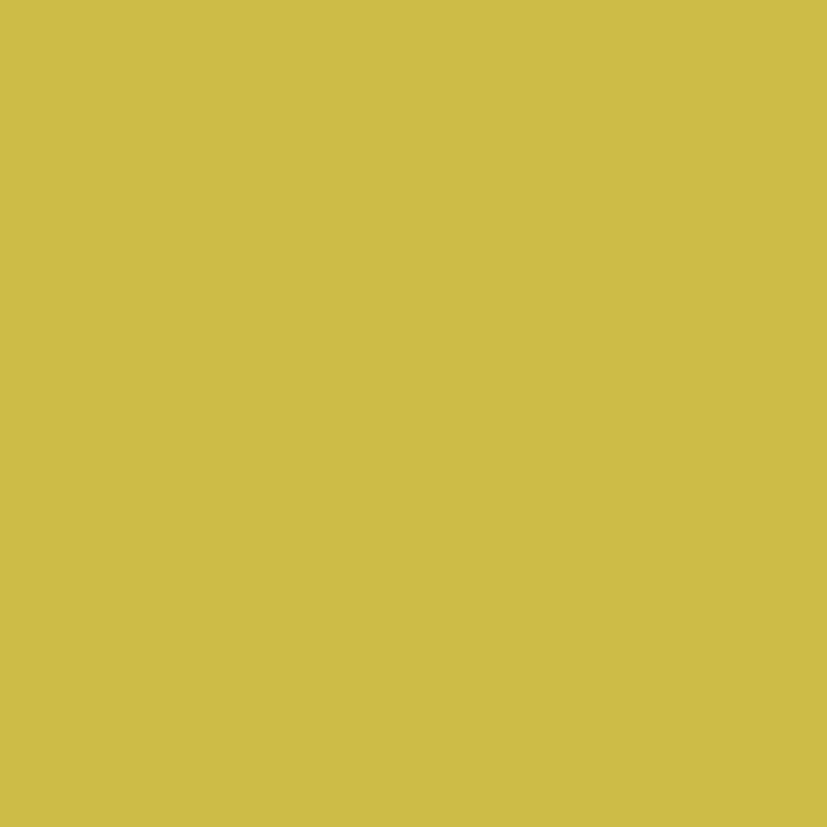 Bright Gold 371-Colour Company