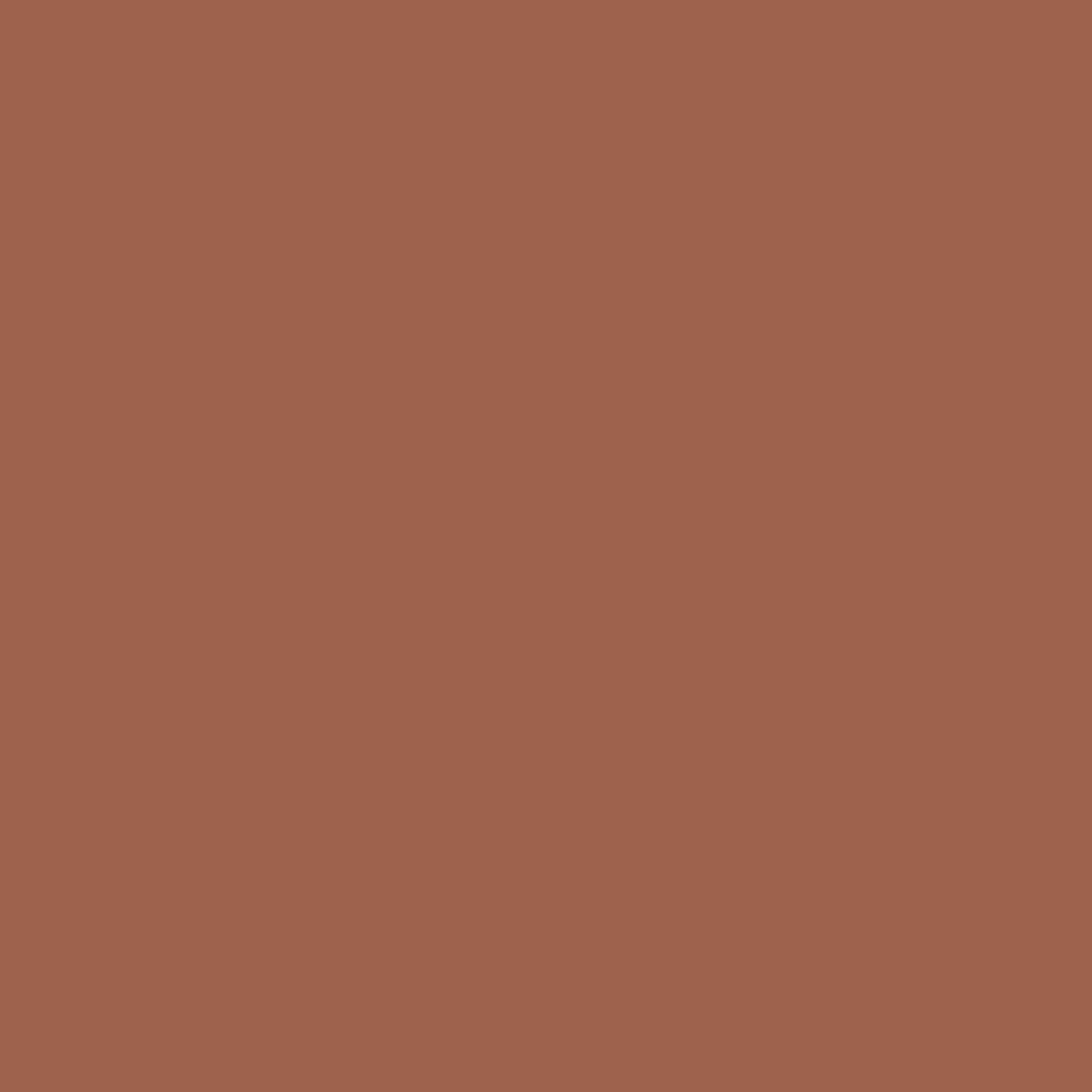 Burnt Sienna 1196-Colour Company