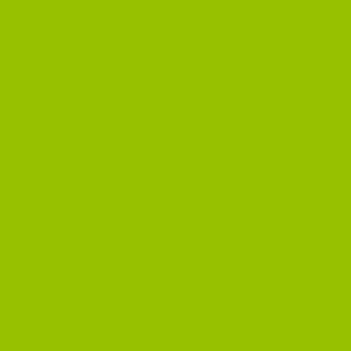 Lime Green 2026-10-Colour Company