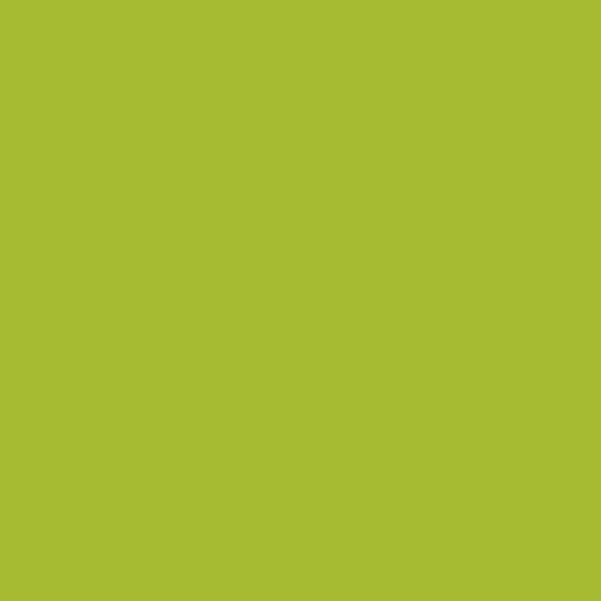 Tequila Lime 2028-30-Colour Company