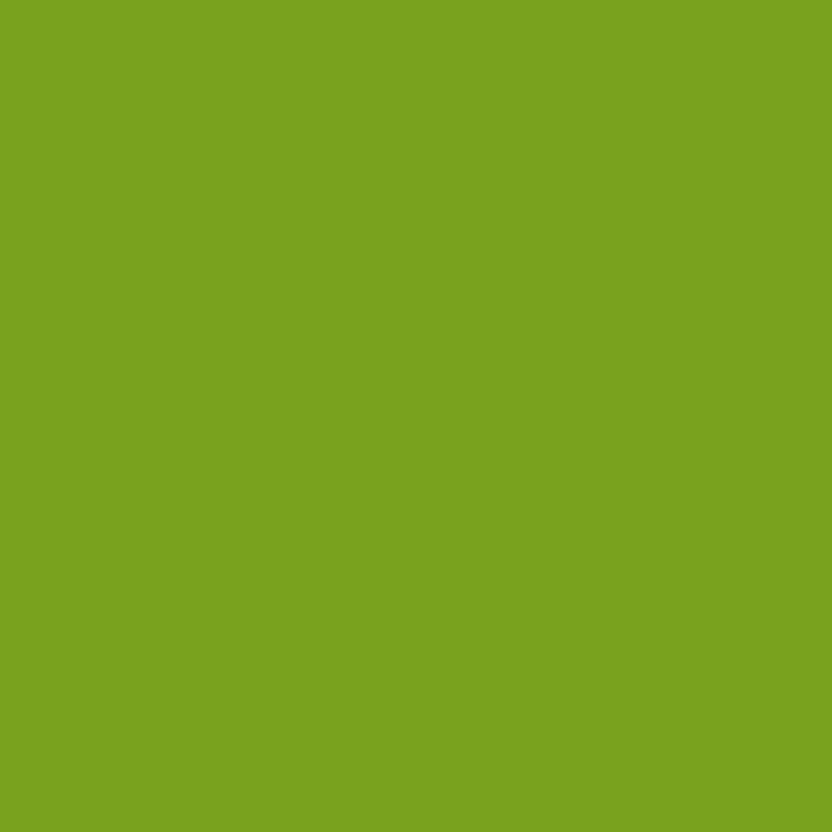 Iguana Green 2028-10-Colour Company