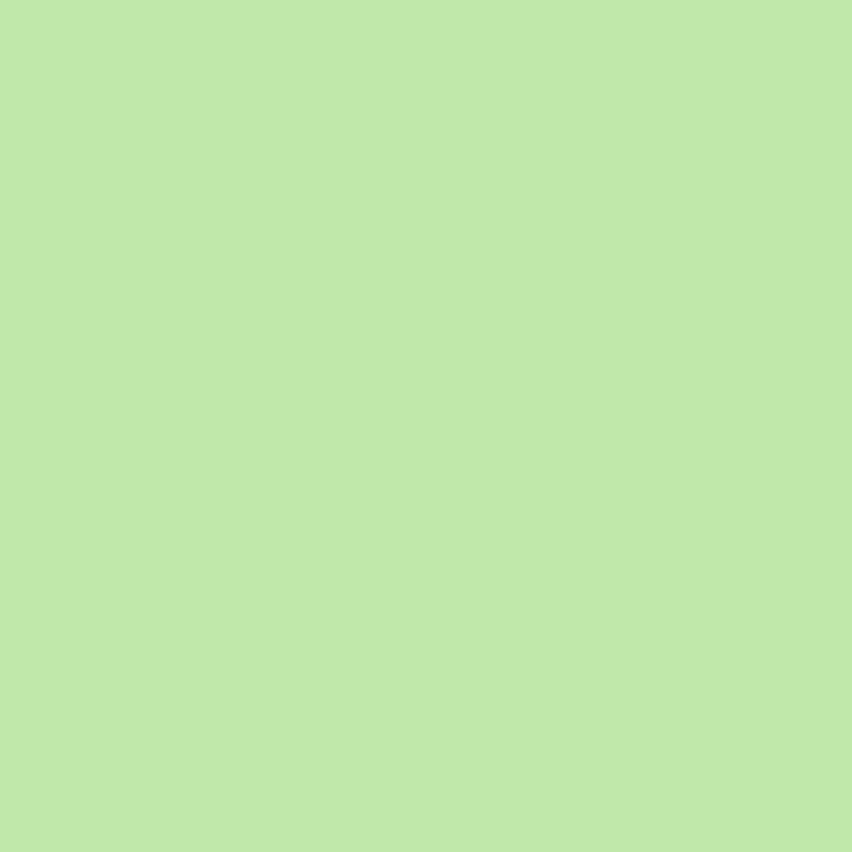 Shimmering Lime 2030-50-Colour Company