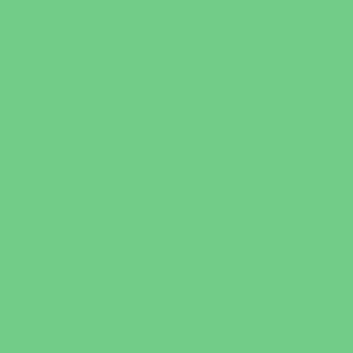 Lime Tart 2033-40-Colour Company