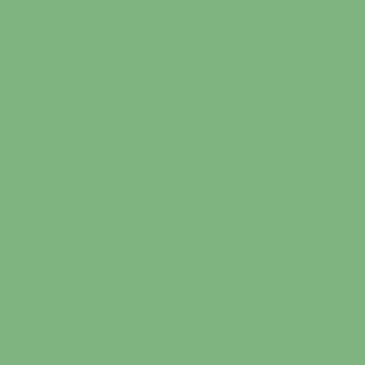 Cedar Green 2034-40-Colour Company