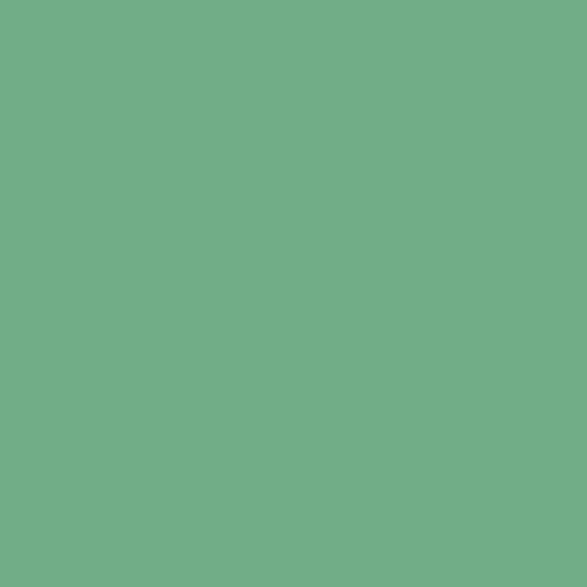 Stokes Forest Green 2035-40-Colour Company