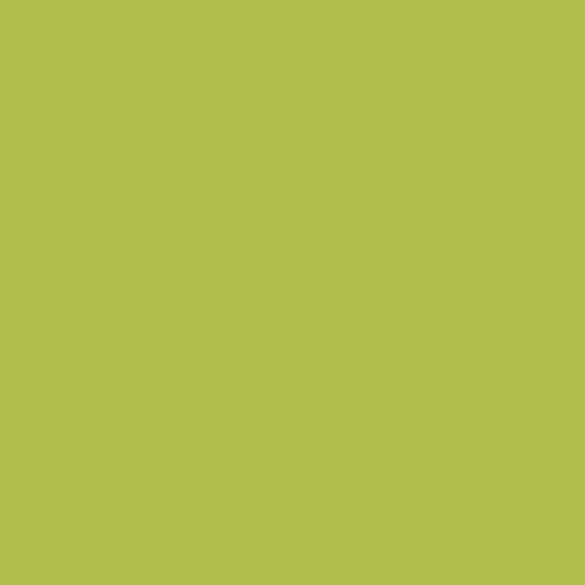 Limeade CSP-865-Colour Company