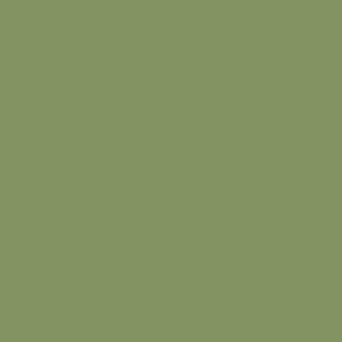 Forest Hills Green 433-Colour Company 