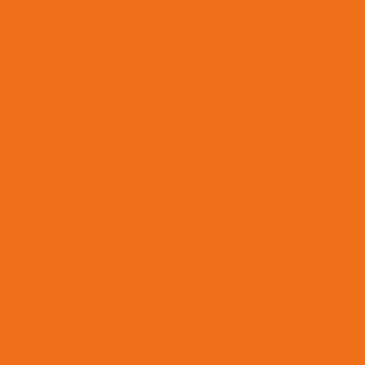 Electric Orange 2015-10-Colour Company 