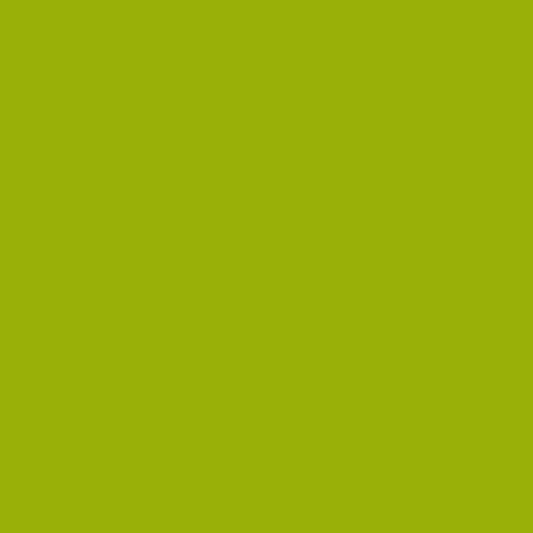 Dark Lime 2027-10-Colour Company 