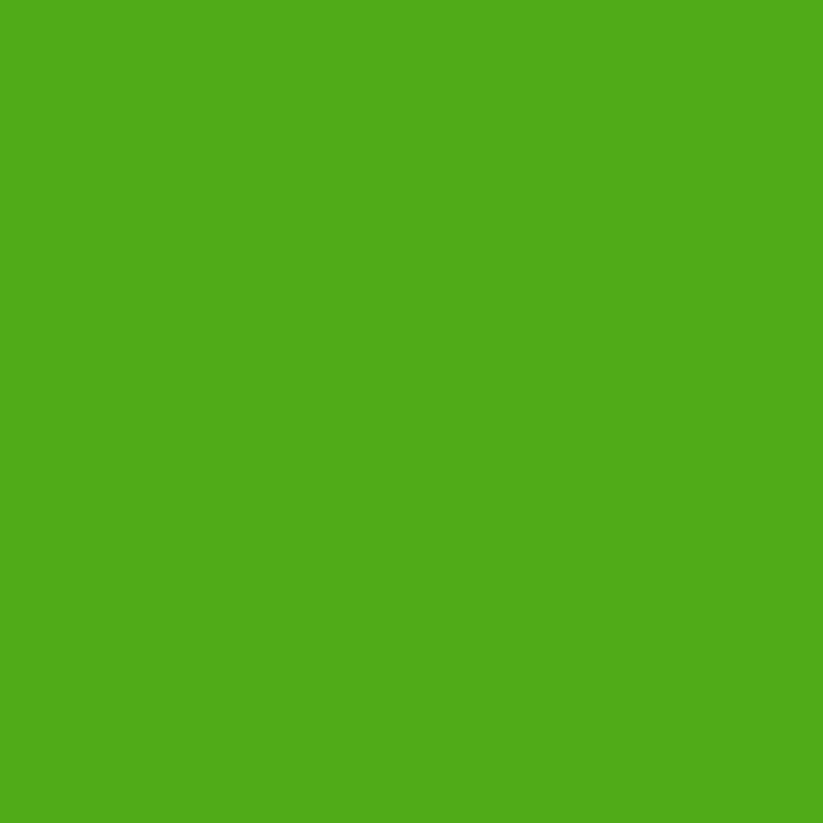 Neon Lime 2031-10-Colour Company 