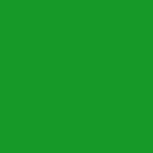 Neon Green 2032-10-Colour Company 