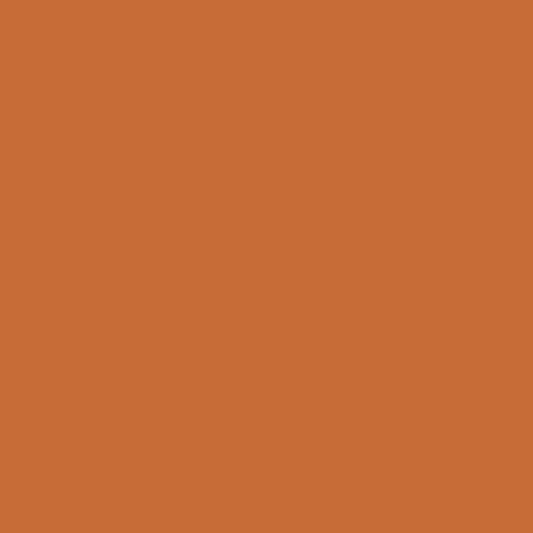 Burnt Caramel 2167-10-Colour Company 