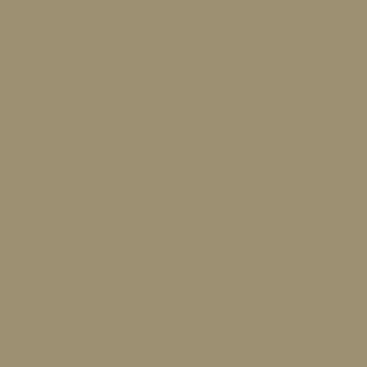 Palace Tan CW-35-Colour Company 